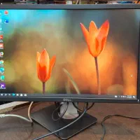 مانیتور کامپیوتر22 اینچ Monitor DELL 22 HDMI p2217
