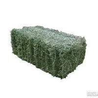پرس یونجه