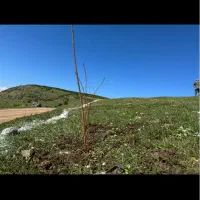 زمین کلاردشت روستای کلمه