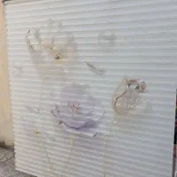 پرده زبرا