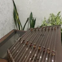 آموزش سنتور نوازی (بانوان)