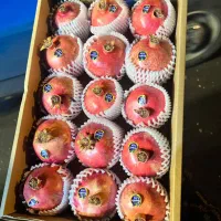 نیازمند یک کارگر در میوه فروشی