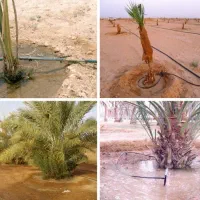لوله کشی قطره ای