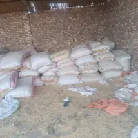 کاه خوب کردستان هست کیلو 18
