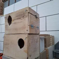 لونه عروس هلندی