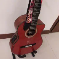 گیتار واشبورن