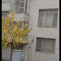 نیاوران-بر-دزاشیب850متر-کلنگی
