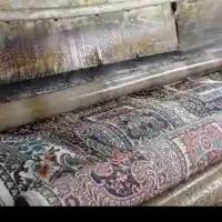 قالیشویی و مبل شویی گیل بانو