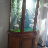 محل نگهداری انواع پرنده