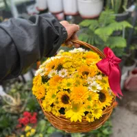 سبد گل چوبی گرد گل آفتابگردان و داوودی