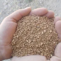 خرید و فروش پوست گردو