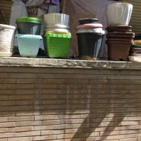 گلدان سفالی وپلاستیکی
