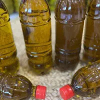روغن زیتون