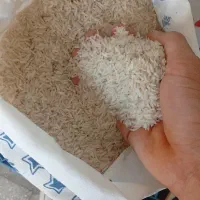 پخش برنج