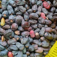 فروش سلینک (ضایعات ) خرما