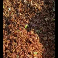 تفاله سیب به قیمت کارخانه تحویل در خانه