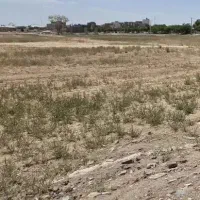 ۴۶قصب کشاورزی بزنجان