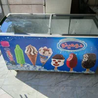 فریزربستنی خوابیده سالم باگارانتی باضمانت