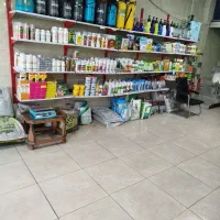 سمپاشی ساس حصارک کمال آباد شاهین ویلا باغستان