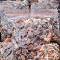 خرمای بی هسته مرغوب