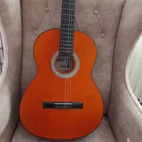 گیتار پاکو سالم