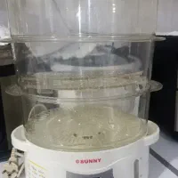 بخار پز سانی