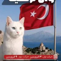 تور وان گروهی