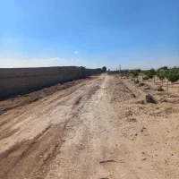 زمین باغی نقلی سند دار