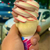 فروش کل وسایل مورد نیاز ابمیوه بستنی