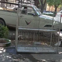 قفس جف کن براکبوتردونه3