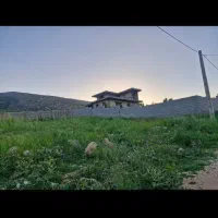 زمین باغشهری سیاخ دارنگون احرار فارس مجموعه یاس