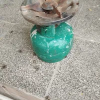 دوعدد پیک نیک