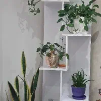 استند گل