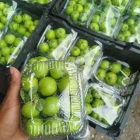 نیروی کار خانم جهت کار در تره بار