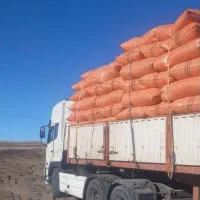 ارسال کاه