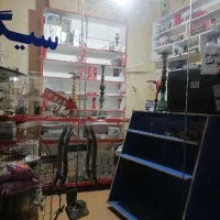 وترین دخانیاتی فروشی