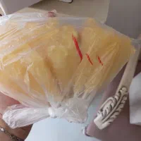 نبات چوبی
