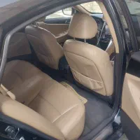 فروش،سوناتا
