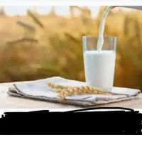 اجاره مغازه لبنیاتی مجهز وکامل سریش آباد