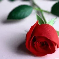 فروش-زمین-با-کاربری-صنعتی-در-شهرک-صنعتی-پاسارگاد