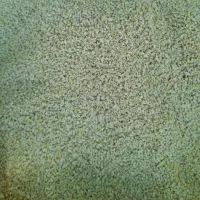 دانه پارس دانه مرغی
