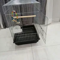 قفس پرنده نو
