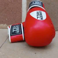 دست کش بوکس مدل تانگیر اصل