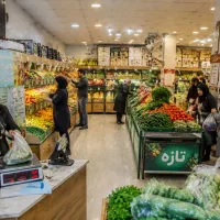 استخدام مدیر فروشگاه میوه فروشی ( خانم )