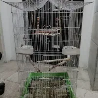 قفس پرنده