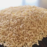 استخدام نیرو در بوجاری