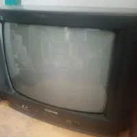 تلویزیون