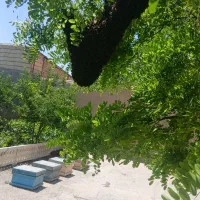 کندو زنبور عسل ۵قاب تا ۳۰قاب