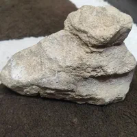 سنگ و فسیل و شجر و شهاب سنگ و ....