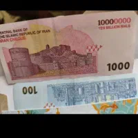 سرمایه گذار  هستم